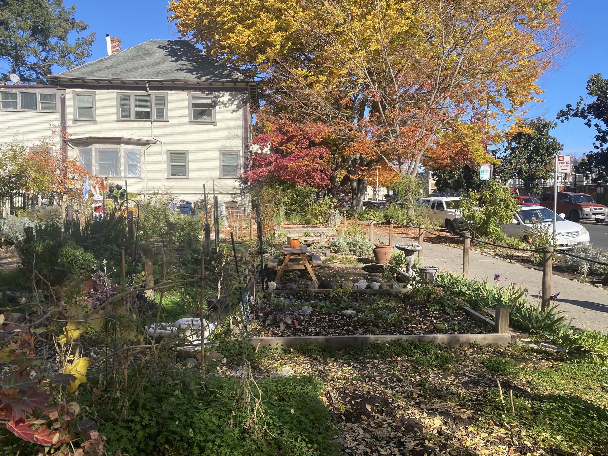 A garden with trees and a house in the background.