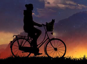 A person on a bike is silhouetted against a sunset.