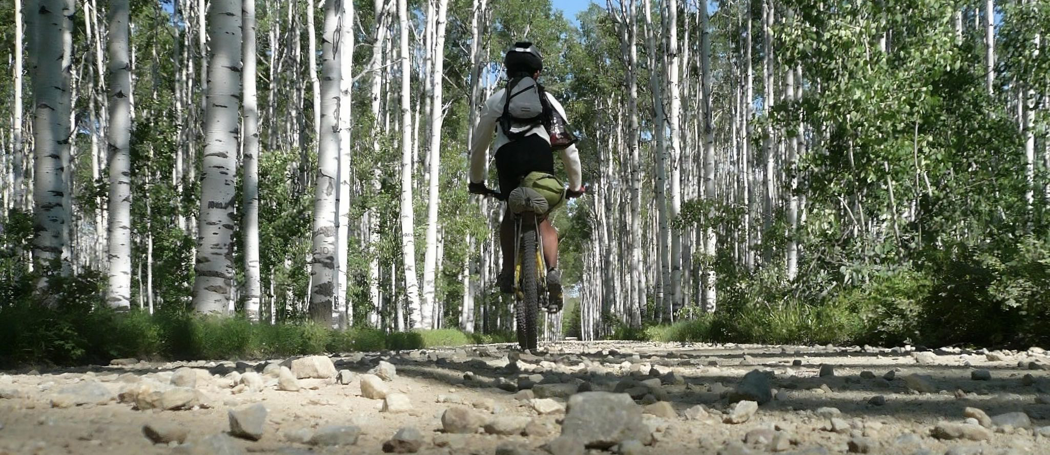 A cyclist rides through the woods.