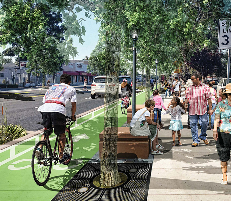 Bikes in a protected bike lane and pedestrians walk under trees.